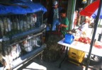 Street stall selling chickens and other raw meats