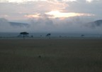 Clouds moving over the mara