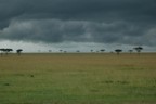 Approaching storm on the mara