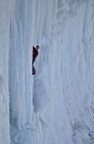 Climbing steep ice on Salmonella