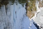 Steep ice in the Amphitheatre with the river below; Salmon Steak is the large ice flow in the upper right of the photo