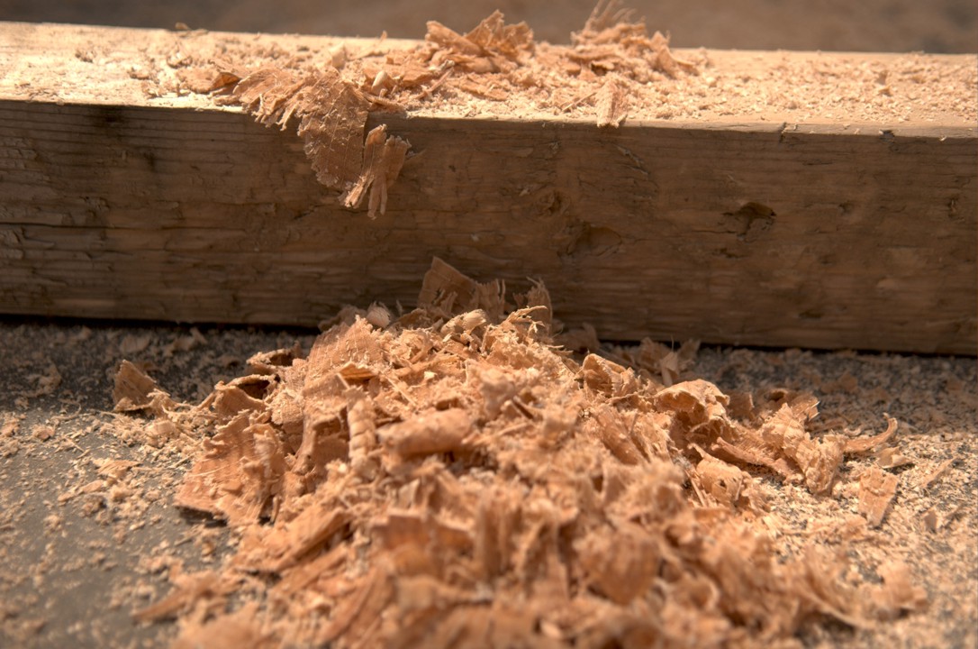 Pile of sawdust generated during the raising