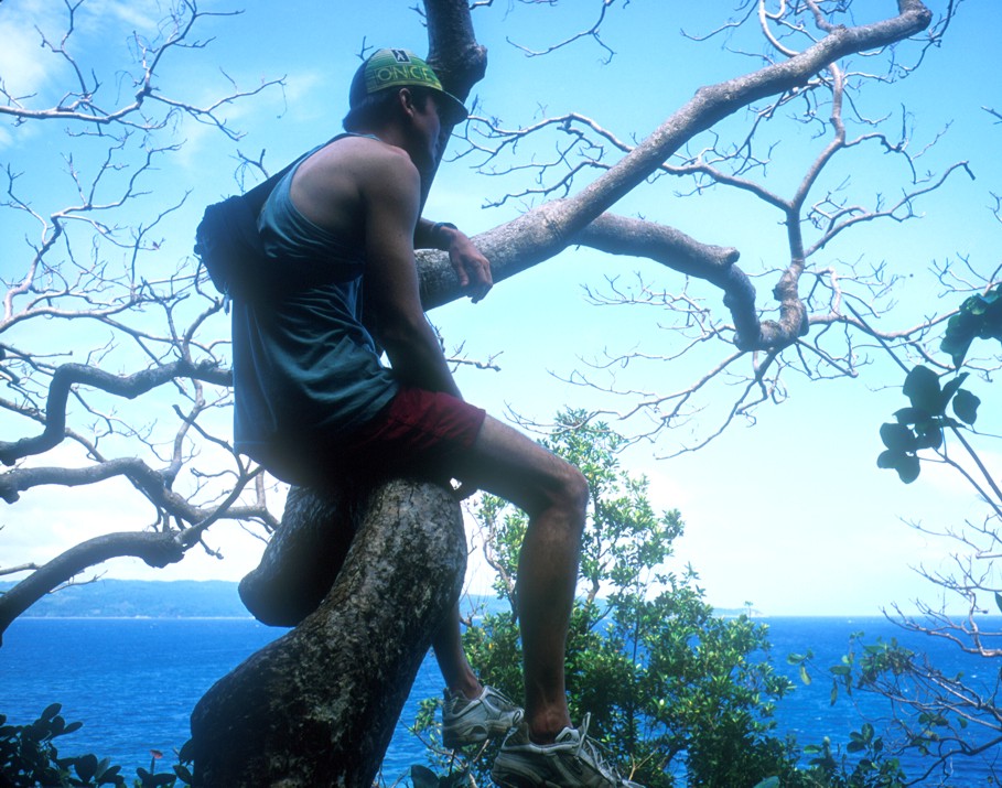 Sitting in a tree above the ocean after emerging from Crystal Cave
