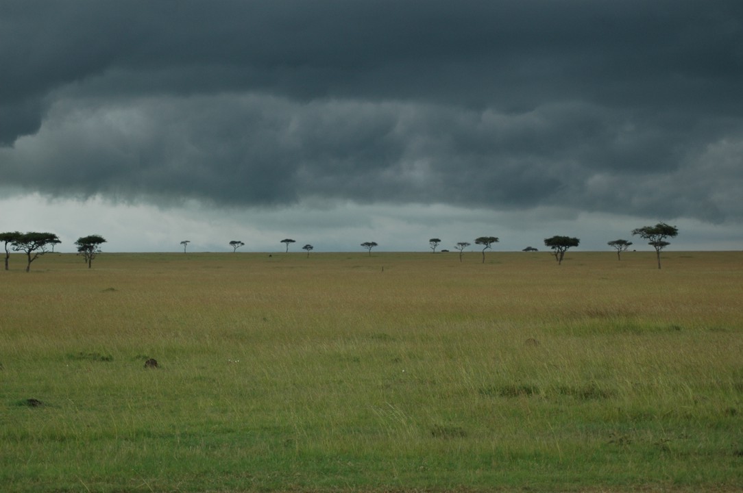 Approaching storm on the mara