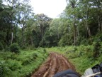 The road through the jungle to the forest gate was really bad -- 4WD and muddy