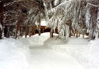 Winter '93 -- the driveway had to be shoveled by hand because no plow could move that much snow; the shoveling took three days